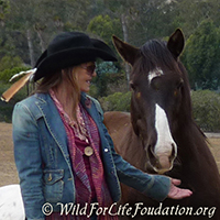 Katia Louise and msuatang saved from slaughter